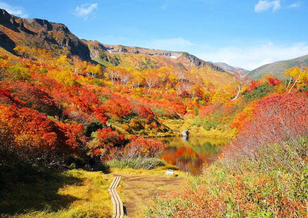 Daisetsu Plateau Hot Springs and Swamps Hiking Course | Hokkaido Private Tours Japan | HPT-Japan