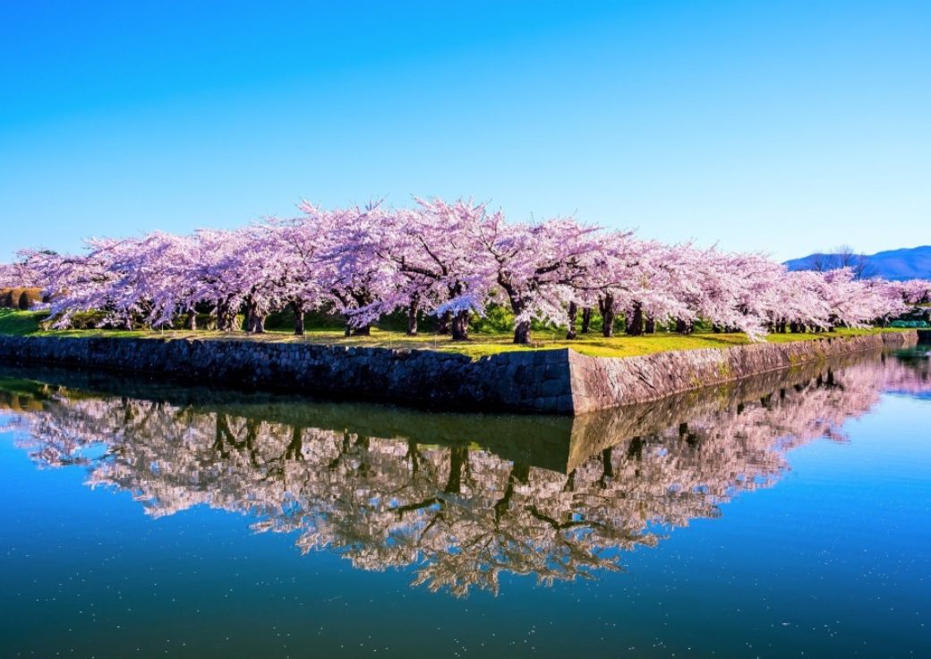 Goryokaku Park | Hokkaido Private Tous Japan | HPT-Japan