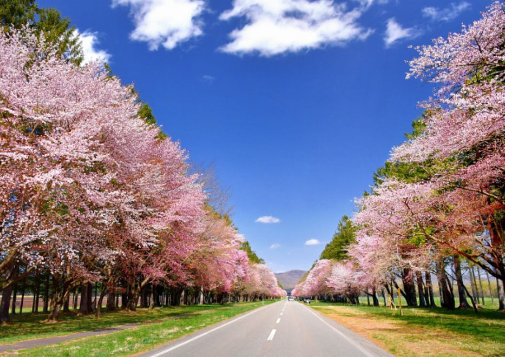 Nijukkan Road | Hokkaido Private Tours Japan | HPT-Japan